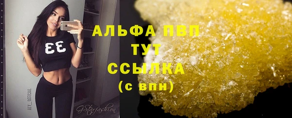 гашик Магас